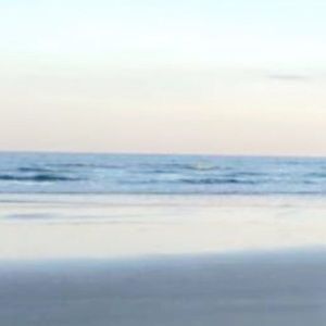 Meet your Posher, Sydney